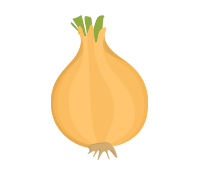 cibuľa