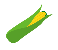 kukurica