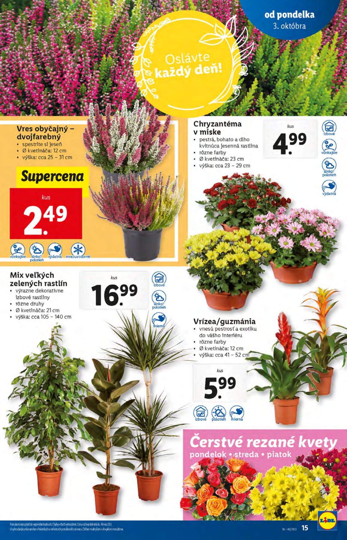 Lidl leták – strana 17