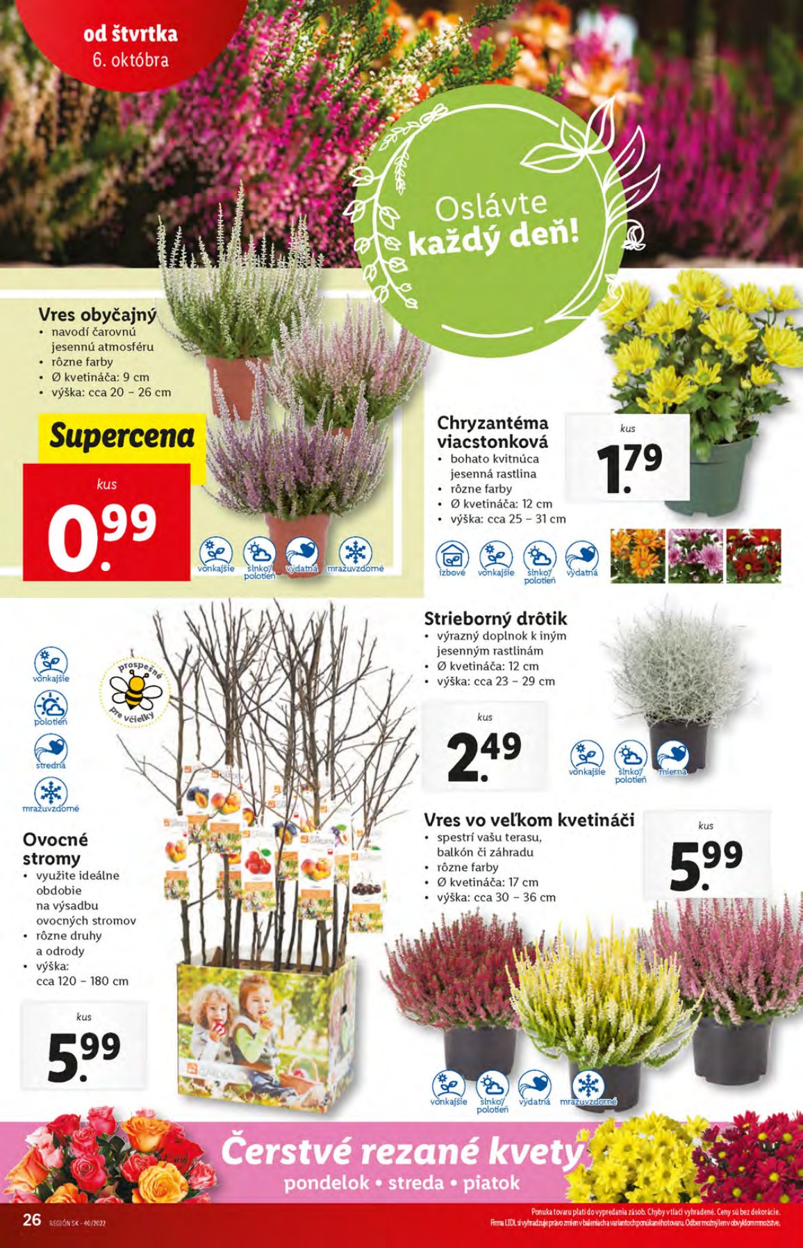 Lidl leták – strana 26
