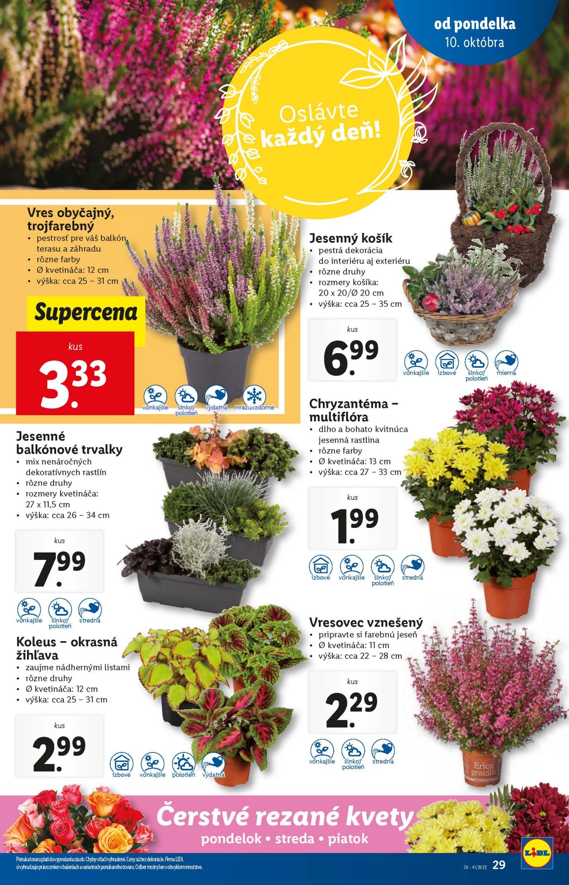Lidl leták – strana 29