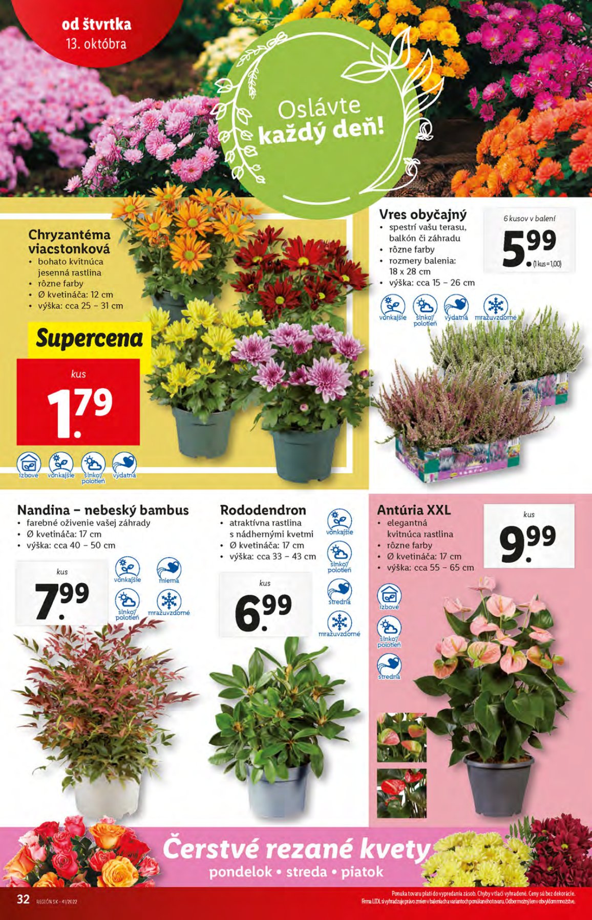 Lidl leták – strana 32