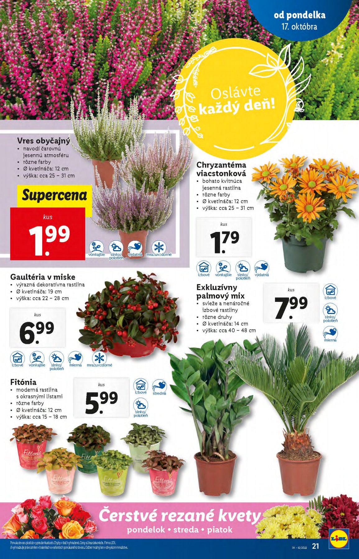 Lidl leták – strana 21