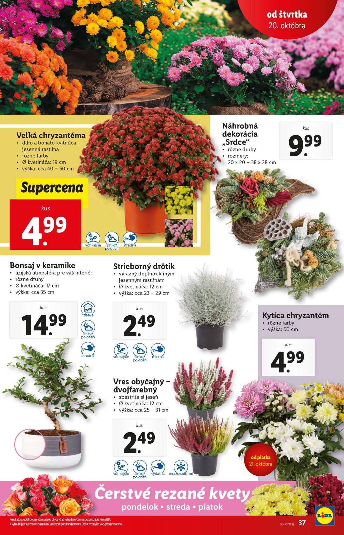 Lidl leták – strana 37