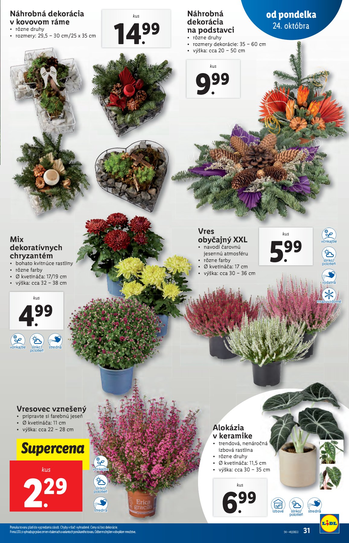 Lidl leták – strana 31