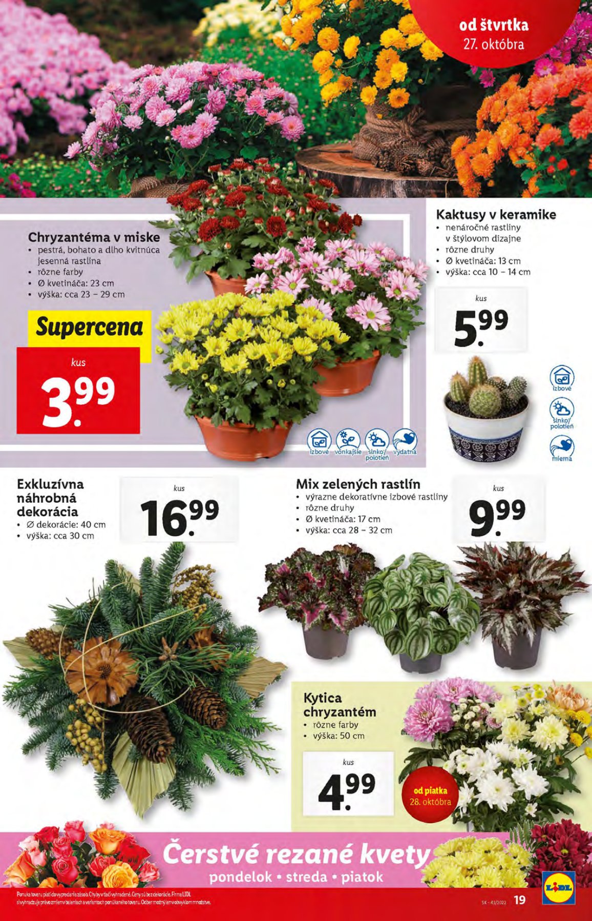 Lidl leták – strana 19