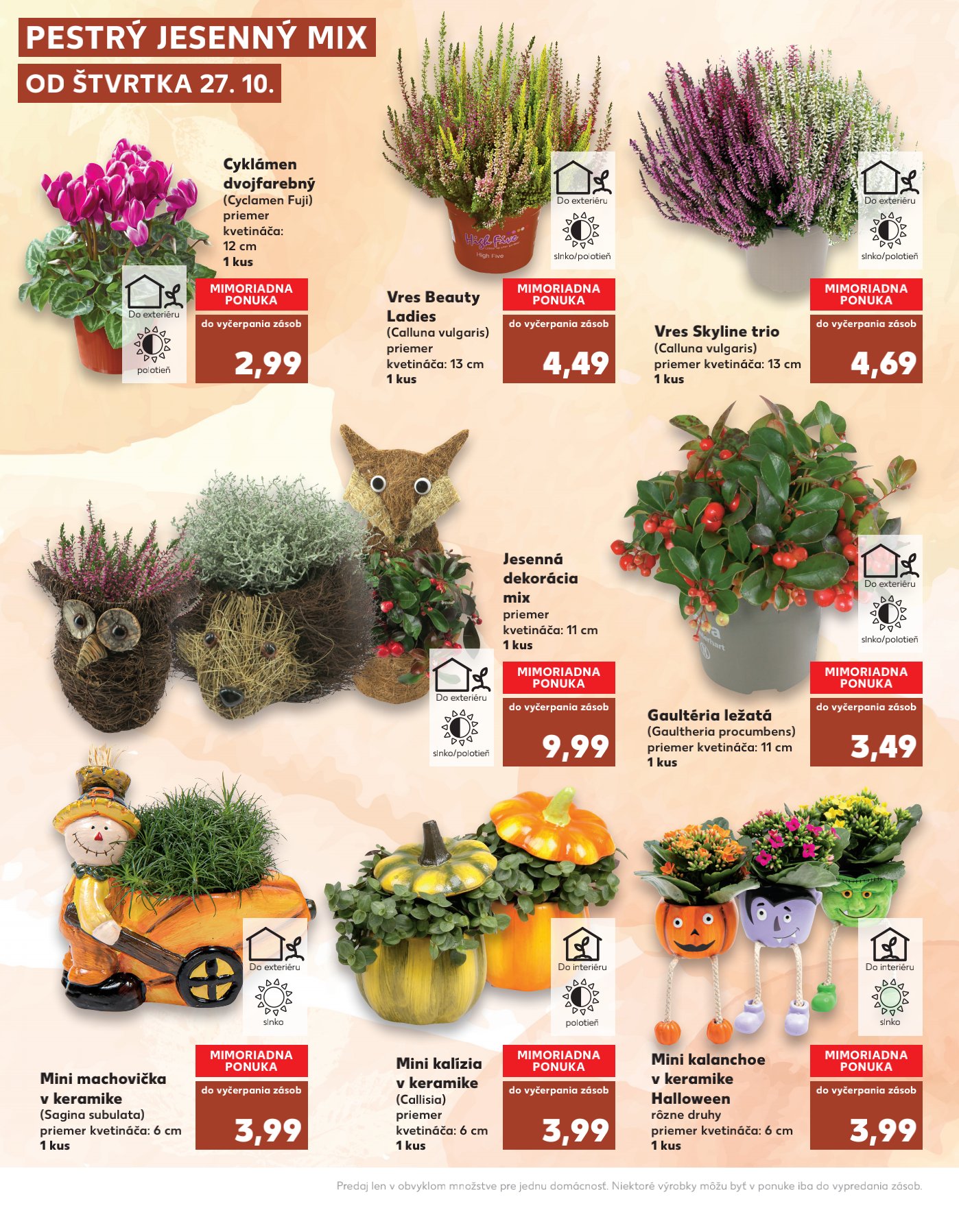 Kaufland leták – strana 4