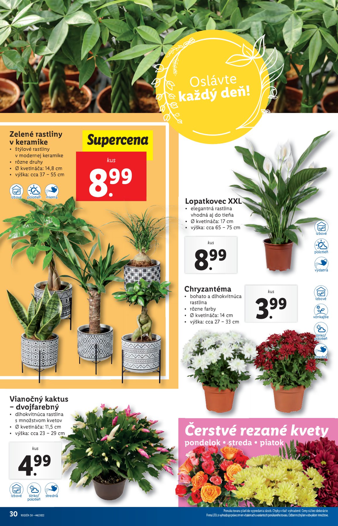 Lidl leták – strana 30