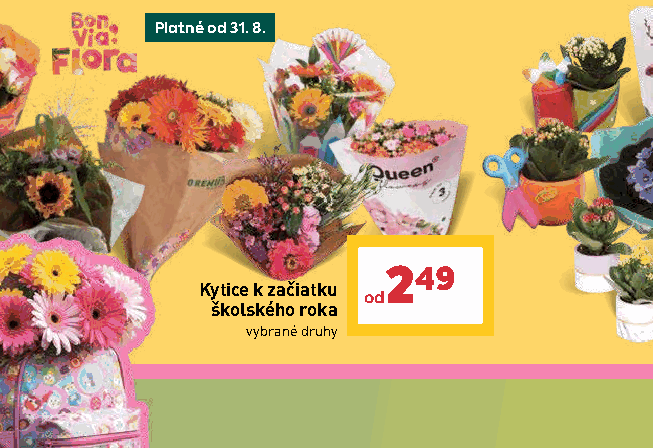 Kytice k začiatku školského roka vybrané druhy
