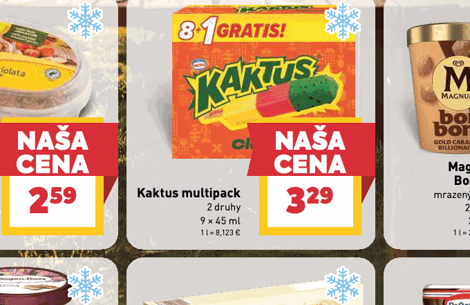 Kaktus multipack 2 druhy