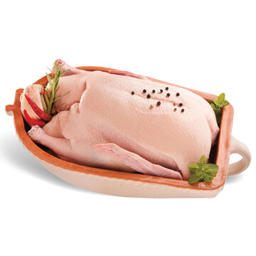 Kačica s drobkami hlbokozmrazená 1 kg
