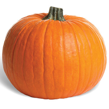 Tekvica Halloween 1 kg