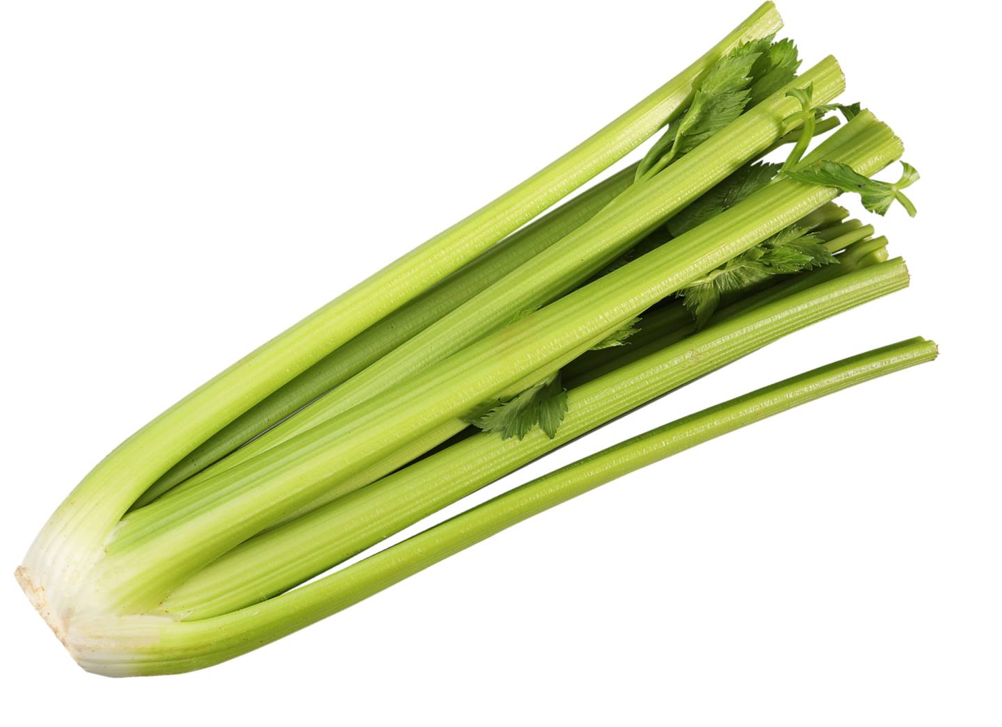 Zeler stopkatý