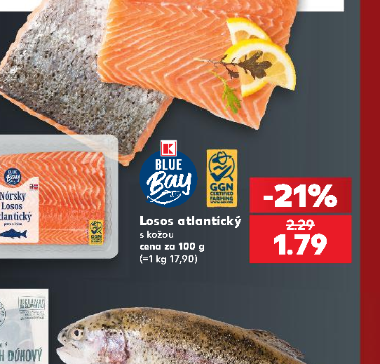 Losos atlantický