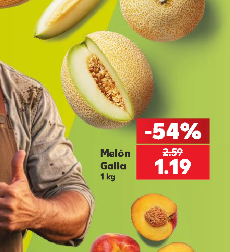 Melón Galia
