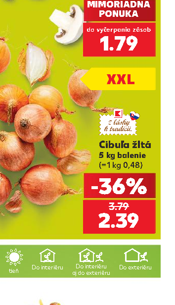 Cibuľa žltá 5 kg balenie