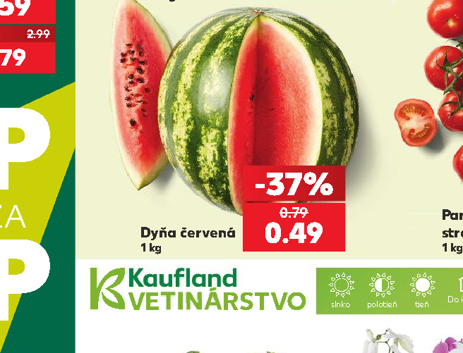 Dyňa červená