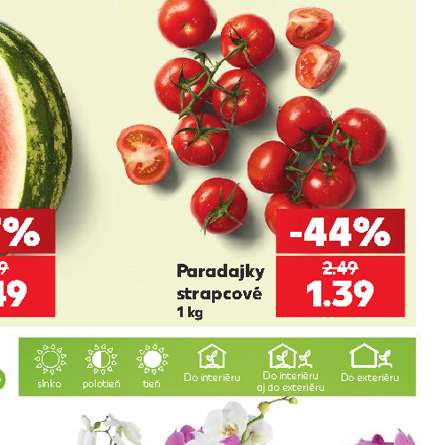 Paradajky strapcové