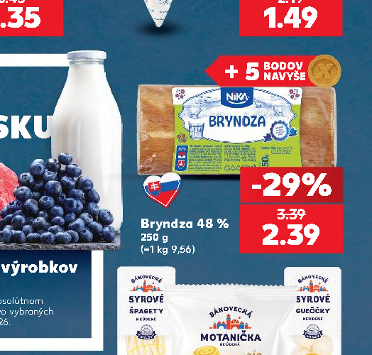 Bryndza 48 %