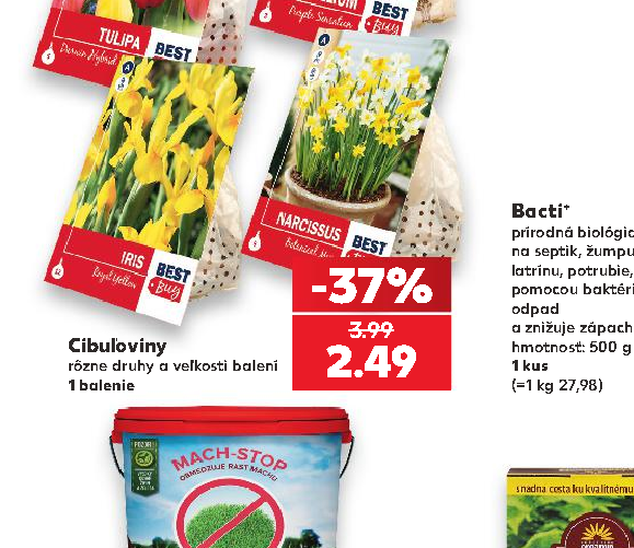 Cibuľoviny