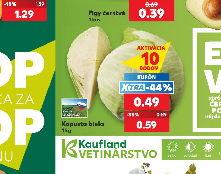 Kapusta biela
