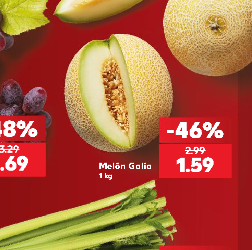 Melón Galia
