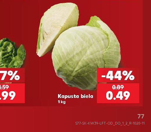 Kapusta biela