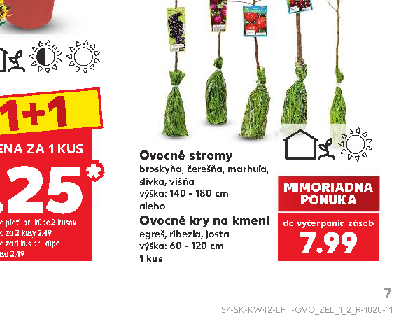 Ovocné kry na kmeni