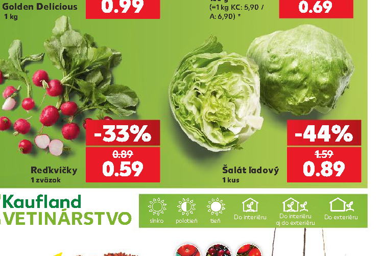 Šalát ľadový