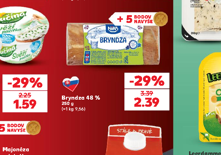 Bryndza 48 %