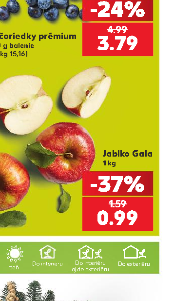 Jablko Gala