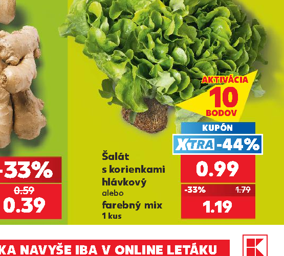 Šalát s korienkami hlávkový