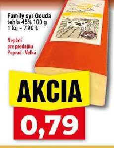 Family syr Gouda tehla 45%