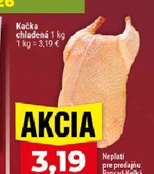 Kačka chladená