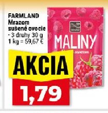 FARMLAND Mrazom sušené ovocie MALINY