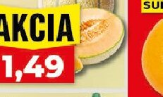 Melón Cantaloupe