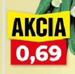 Uhorka