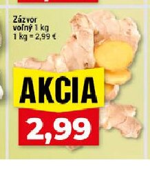 Zázvor