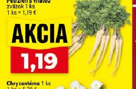Petržlen s vňaťou