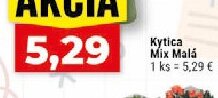 Kytica Mix Malá