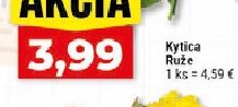 Kytica Ruže