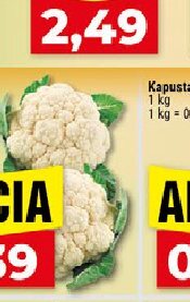 Kapusta červená