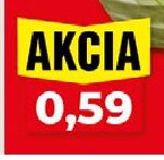 Kapusta biela