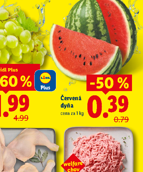 Červená dyňa