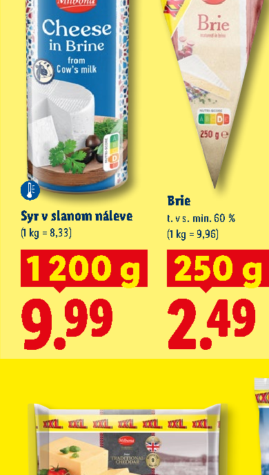 Syr v slanom náleve
