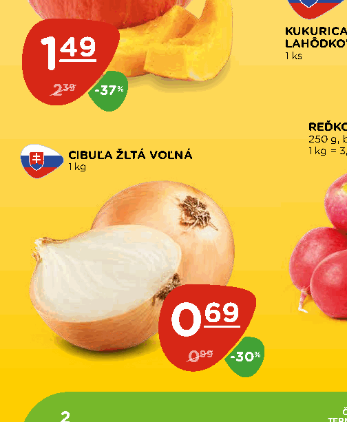 CIBUĽA ŽLTÁ VOĽNÁ