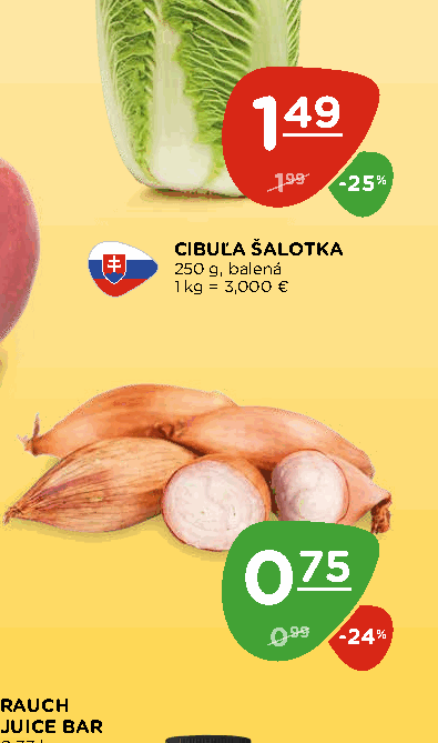 CIBUĽA ŠALOTKA
