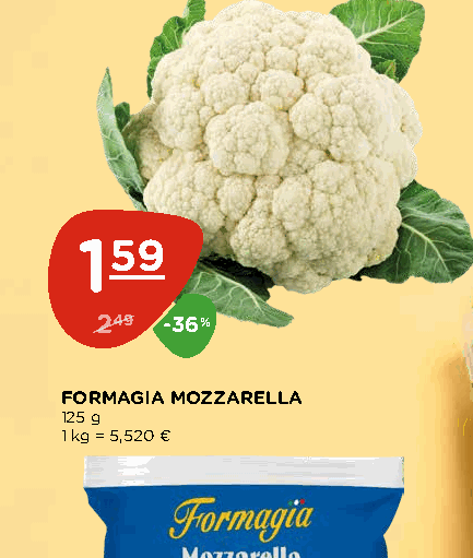 FORMAGIA MOZZARELLA