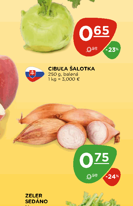CIBUĽA ŠALOTKA