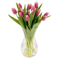 Kytica tulipány 15 ks